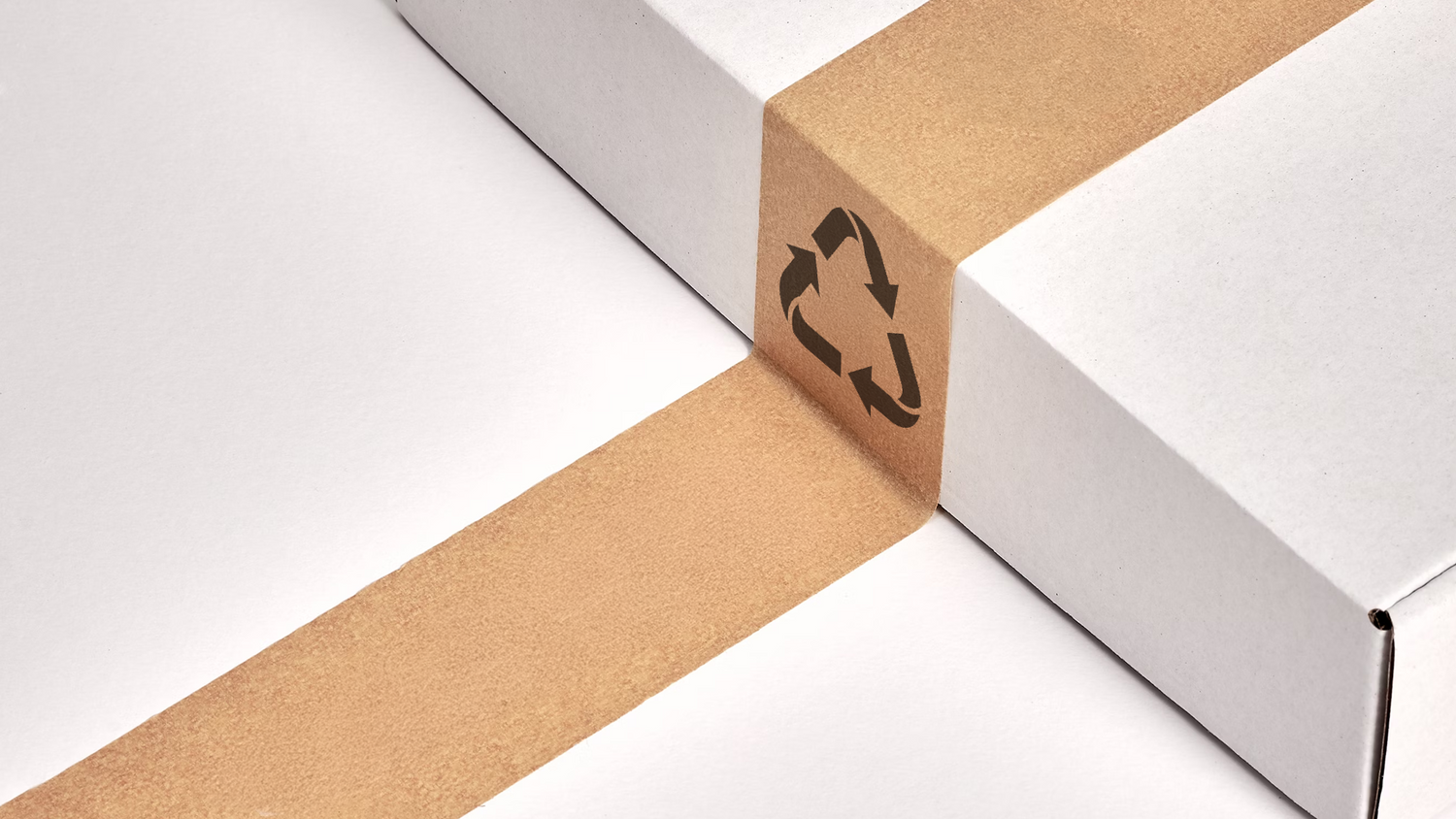 Ecological Packaging for E-Commerce
